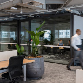 Project: 1 Bligh Street | Adaptable Meeting Room with Edge Unity Double Glazed Door